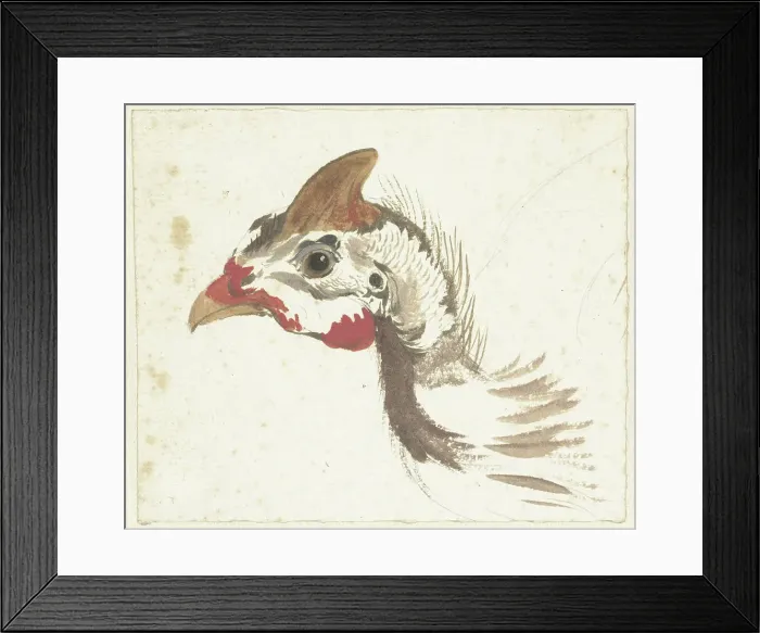 Framed Print : Head of a Helmeted Guineafowl, 1720-1792. Creator: Aert Schouman Framed Print : Head of a Helmeted Guineafowl, 1720-1792. Creator: Aert Schouman