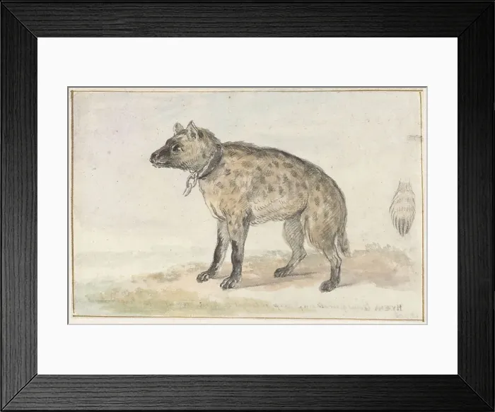 Framed Print : Spotted hyena, 1767-1769. Creator: Aert Schouman Framed Print : Spotted hyena, 1767-1769. Creator: Aert Schouman