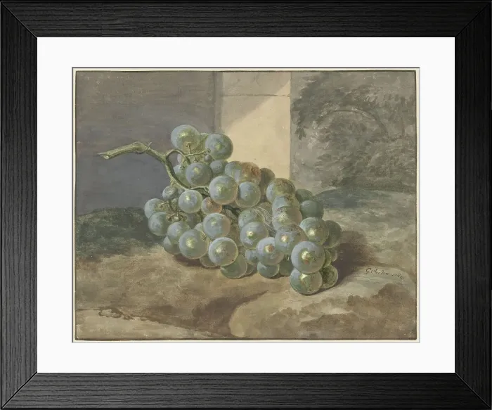 Framed Print : Bunch of grapes, 1754. Creator: Gerard Sanders Framed Print : Bunch of grapes, 1754. Creator: Gerard Sanders