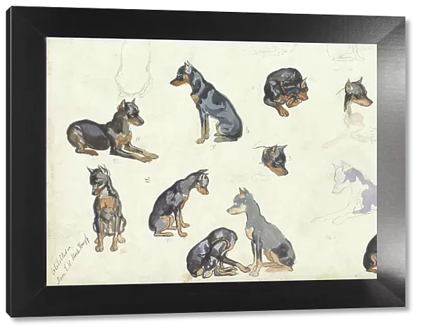 Studies of a dog, 1880-1946. Creator: Anna Maria Kruijff