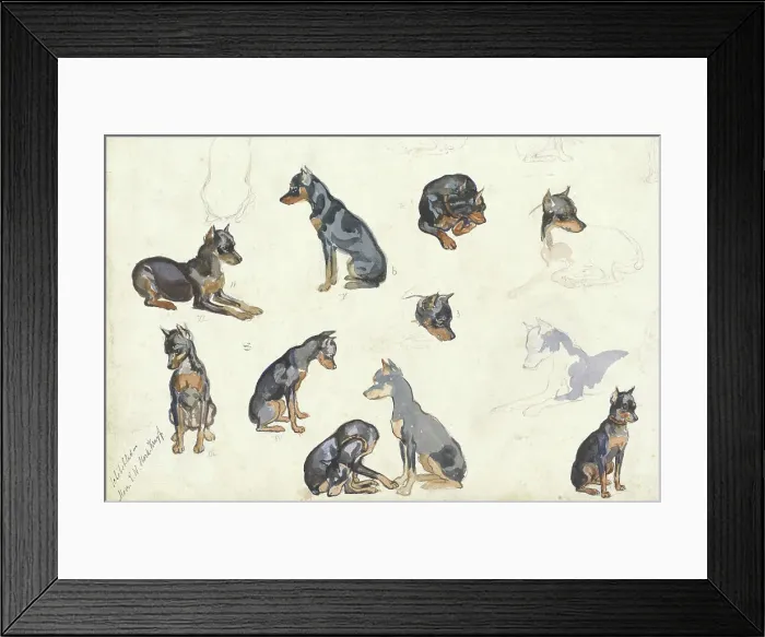 Framed Print : Studies of a dog, 1880-1946. Creator: Anna Maria Kruijff Framed Print : Studies of a dog, 1880-1946. Creator: Anna Maria Kruijff