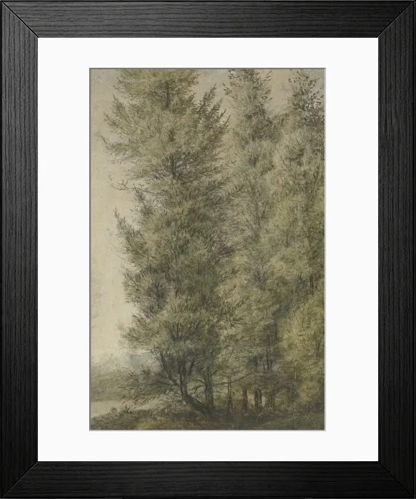 Framed Print : Tall pines on the edge of a forest, 1619-1690. Creator: Anthonie Waterloo Framed Print : Tall pines on the edge of a forest, 1619-1690. Creator: Anthonie Waterloo