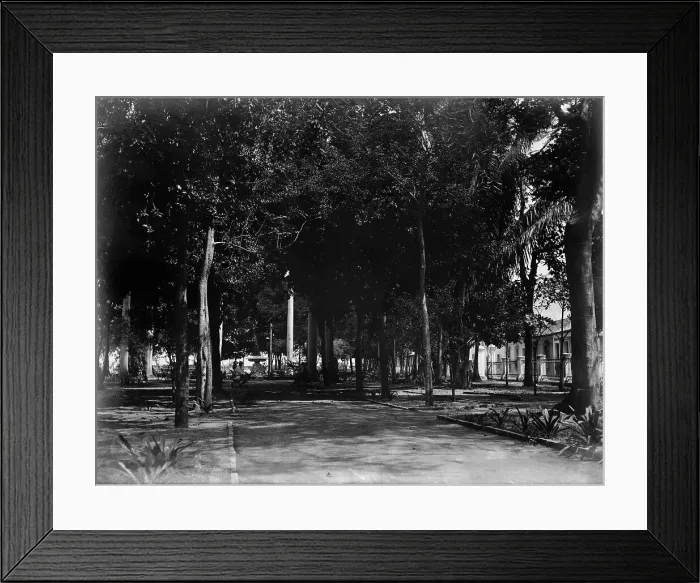 Framed Print : Plaza, Puerto Cabello, Venezuela, between 1880 and 1901. Creator: Unknown Framed Print : Plaza, Puerto Cabello, Venezuela, between 1880 and 1901. Creator: Unknown