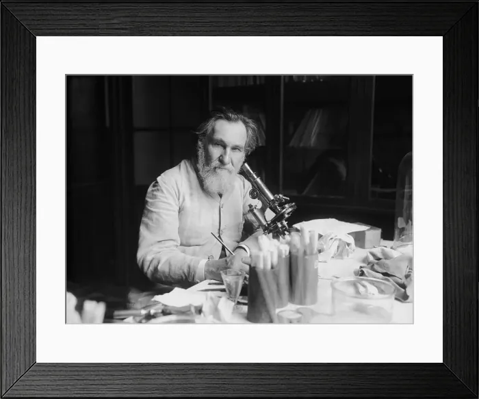 Framed Print : Portrait of Ilya Ilyich Mechnikov (1845-1916), 1913. Creator: Agence Rol (1904-1937) Framed Print : Portrait of Ilya Ilyich Mechnikov (1845-1916), 1913. Creator: Agence Rol (1904-1937)