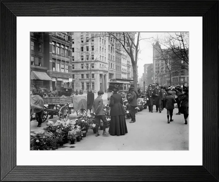 Framed Print : Flower vender's (i.e. vendor's) Easter display, New York, c1904. Creator: Unknown Framed Print : Flower vender's (i.e. vendor's) Easter display, New York, c1904. Creator: Unknown