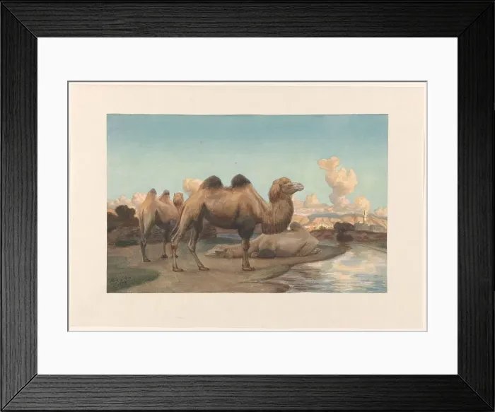 Framed Print : Camels in a landscape, 1884. Creator: August Le Gras Framed Print : Camels in a landscape, 1884. Creator: August Le Gras