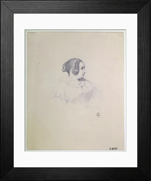 Framed Print : Portrait of the composer and poet Louise Bertin (1805-1877), 1841. Creator: Amaury-Duval, Eugène Emmanuel (1808-1885) Framed Print : Portrait of the composer and poet Louise Bertin (1805-1877), 1841. Creator: Amaury-Duval, Eugène Emmanuel (1808-1885)
