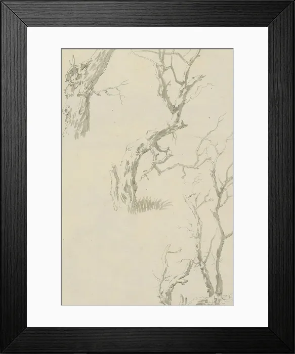 Framed Print : Trees and tree trunk, c.1780-c.1800. Creator: Bernhard Heinrich Thier Framed Print : Trees and tree trunk, c.1780-c.1800. Creator: Bernhard Heinrich Thier
