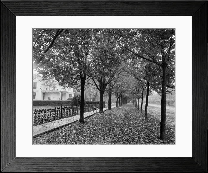 Framed Print : Gratiot Ave. and Church St. Mt. Clemens, between 1880 and 1899. Creator: Unknown Framed Print : Gratiot Ave. and Church St. Mt. Clemens, between 1880 and 1899. Creator: Unknown