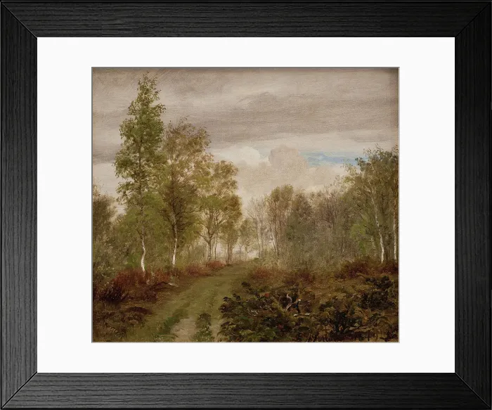 Framed Print : Birch trees at Læso after rain, 1849. Creator: Peter Christian Thamsen Skovgaard Framed Print : Birch trees at Læso after rain, 1849. Creator: Peter Christian Thamsen Skovgaard