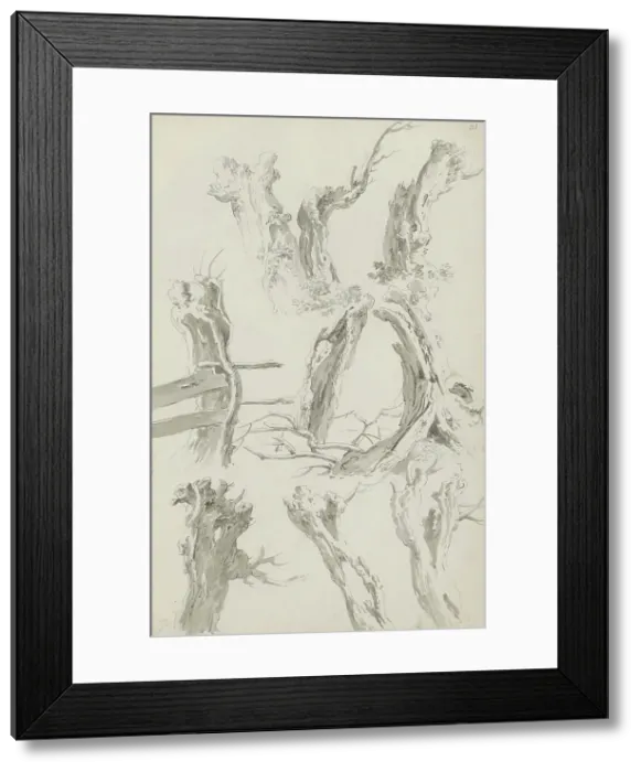 Framed Print : Sheet of sketches with pollarded willows, c.1780-c.1800. Creator: Bernhard Heinrich Thier