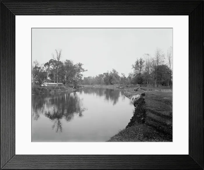 Framed Print : Clinton River summer resort, Mt. Clemens, between 1880 and 1899. Creator: Unknown Framed Print : Clinton River summer resort, Mt. Clemens, between 1880 and 1899. Creator: Unknown