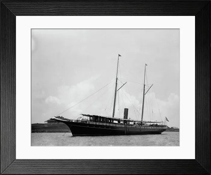 Framed Print : Narwhal, 1895 Aug 4. Creator: Johns Johnston Framed Print : Narwhal, 1895 Aug 4. Creator: Johns Johnston