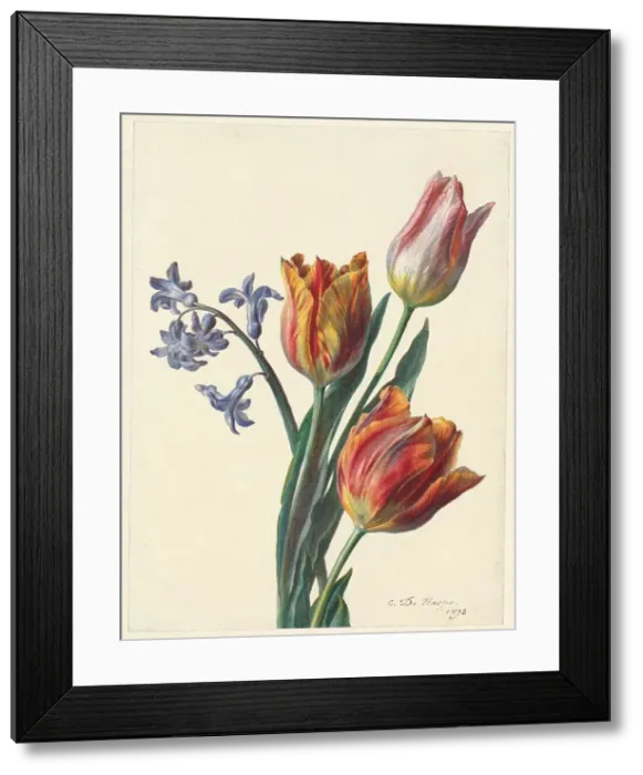 Framed Print : Three tulips and a sprig of hyacinth, 1892. Creator: C. de Haspe Framed Print : Three tulips and a sprig of hyacinth, 1892. Creator: C. de Haspe