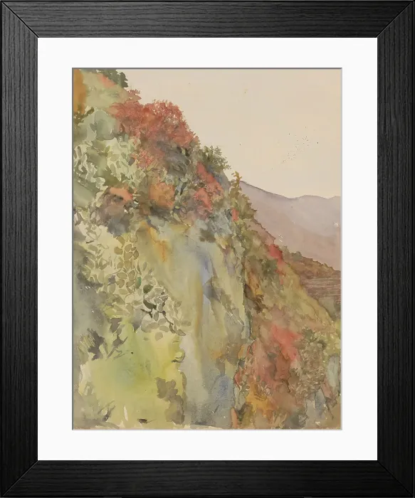 Framed Print : Hill covered with flowers and plants, 1865-1913. Creator: Abrahamina Arnolda Louisa Hubrecht Framed Print : Hill covered with flowers and plants, 1865-1913. Creator: Abrahamina Arnolda Louisa Hubrecht