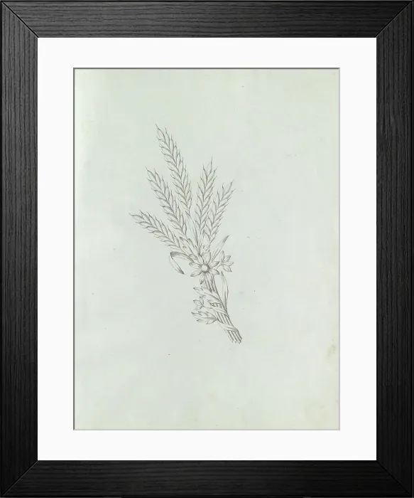 Framed Print : Jewel with grain and flowers, c.1800-c.1810. Creator: Carl Friedrich Bärthel Framed Print : Jewel with grain and flowers, c.1800-c.1810. Creator: Carl Friedrich Bärthel