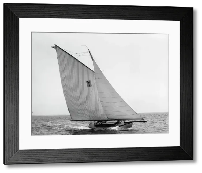 Framed Print : Acushla [II], 1897 July 31. Creator: Johns Johnston