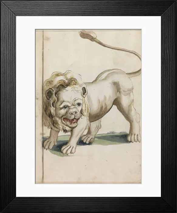 Framed Print : Lion, 1696. Creator: Hendrick van Beaumont Framed Print : Lion, 1696. Creator: Hendrick van Beaumont