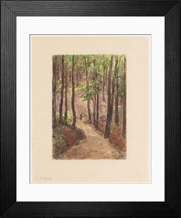 Framed Print : Forest road through the hills at Baden-Baden, 1907. Creator: Carel Nicolaas Storm Framed Print : Forest road through the hills at Baden-Baden, 1907. Creator: Carel Nicolaas Storm