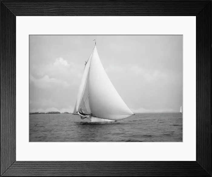 Framed Print : Alcedo, 1890 July 12. Creator: Johns Johnston Framed Print : Alcedo, 1890 July 12. Creator: Johns Johnston
