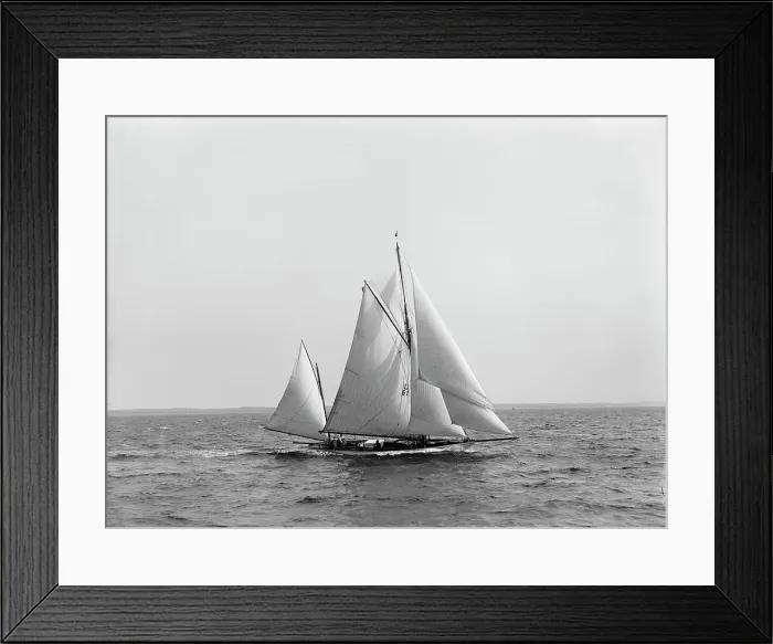 Framed Print : Albicore, 1899 July 29. Creator: Johns Johnston Framed Print : Albicore, 1899 July 29. Creator: Johns Johnston