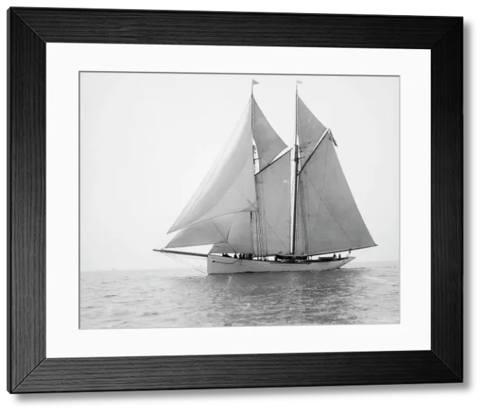 Framed Print : Alert, 1894 Aug 11. Creator: Johns Johnston Framed Print : Alert, 1894 Aug 11. Creator: Johns Johnston