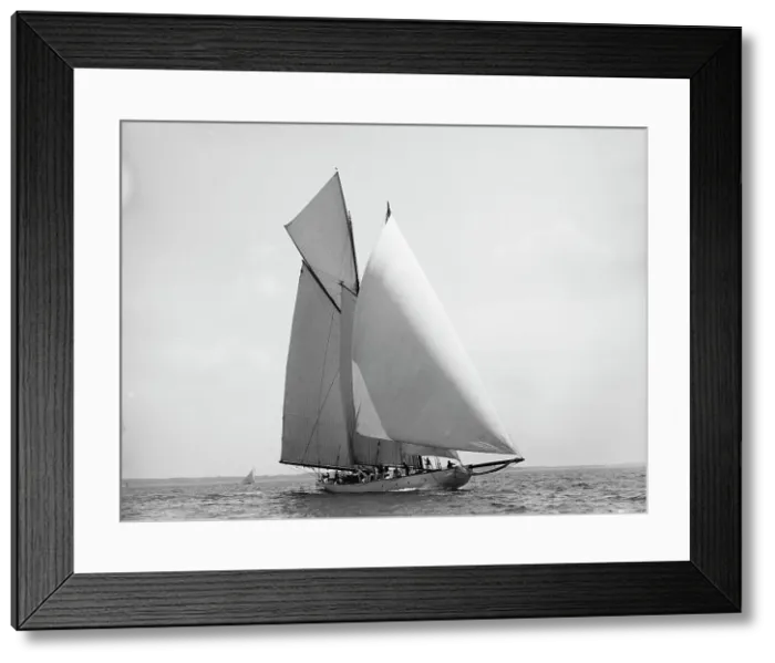 Framed Print : Amorita, 1899 July 4. Creator: Johns Johnston Framed Print : Amorita, 1899 July 4. Creator: Johns Johnston