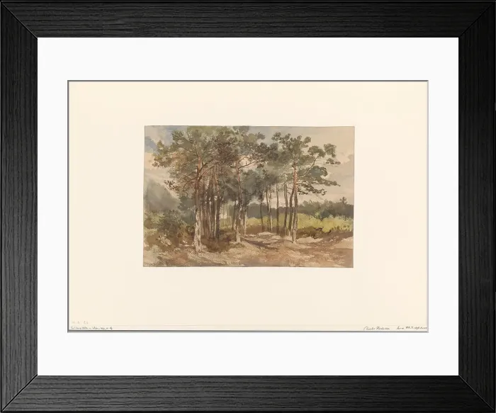 Framed Print : Tree group in the forests near Driebergen, c.1855-c.1865. Creator: Charles Rochussen Framed Print : Tree group in the forests near Driebergen, c.1855-c.1865. Creator: Charles Rochussen