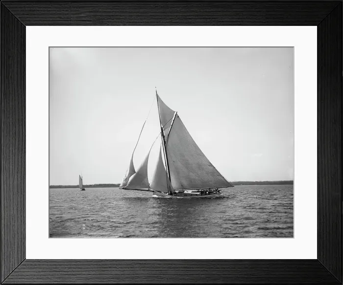 Framed Print : Anaconda, 1890. Creator: Johns Johnston Framed Print : Anaconda, 1890. Creator: Johns Johnston