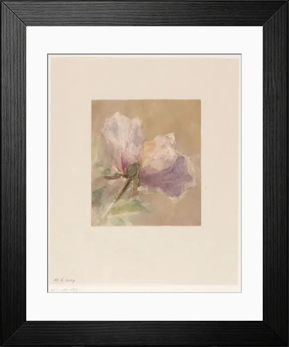 Framed Print : Withered rose, 1851-1924. Creator: Carel Nicolaas Storm Framed Print : Withered rose, 1851-1924. Creator: Carel Nicolaas Storm