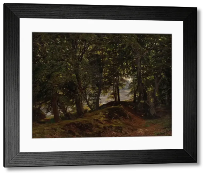 Framed Print : A shady spot at Hestehave near Frederiksborg, 1860. Creator: Godtfred Rump Framed Print : A shady spot at Hestehave near Frederiksborg, 1860. Creator: Godtfred Rump