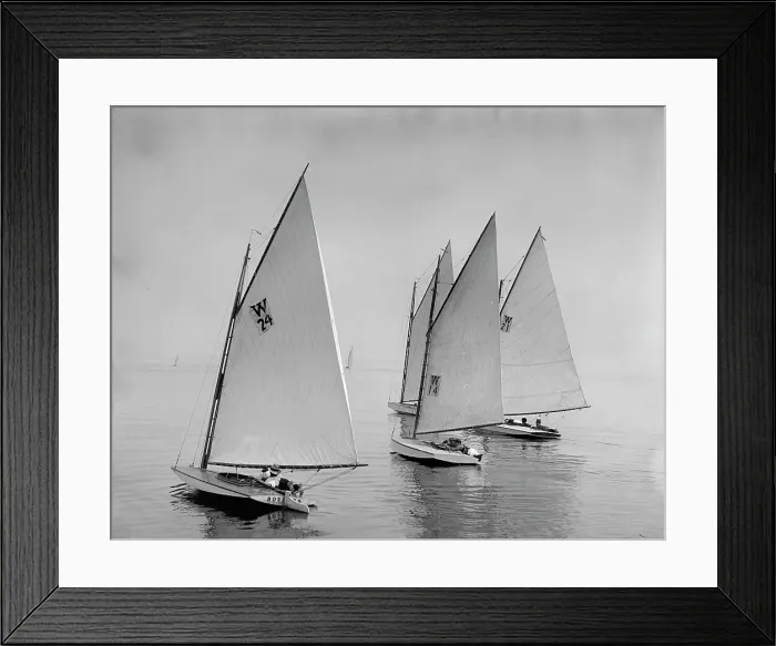 Framed Print : Bouncer, Spunk, Lobster, and Kazaza, 1899 July 22. Creator: Johns Johnston