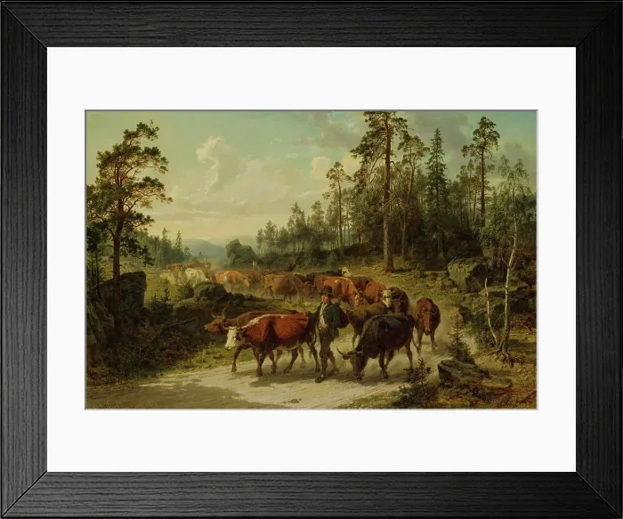 Framed Print : Driving Cattle in Småland, 1863. Creator: Nils Andersson Framed Print : Driving Cattle in Småland, 1863. Creator: Nils Andersson