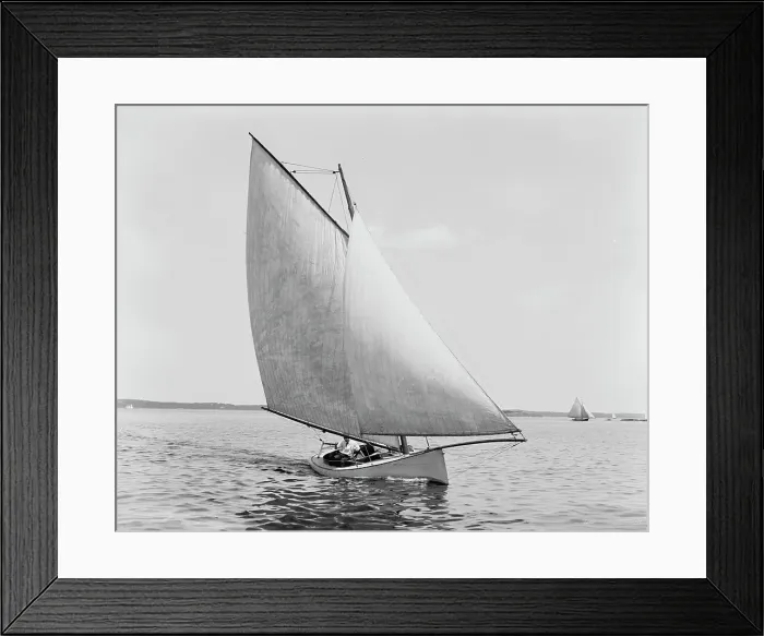 Framed Print : Josephine, between 1880 and 1899. Creator: Unknown Framed Print : Josephine, between 1880 and 1899. Creator: Unknown