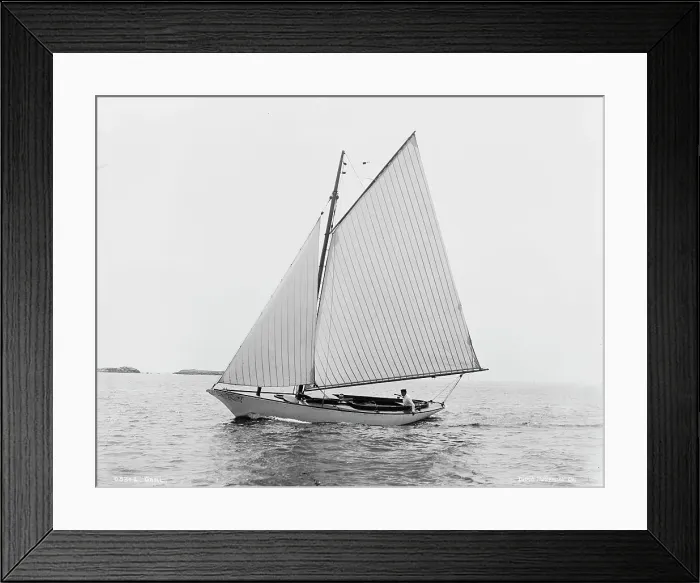 Framed Print : Carl, between 1880 and 1899. Creator: Unknown Framed Print : Carl, between 1880 and 1899. Creator: Unknown