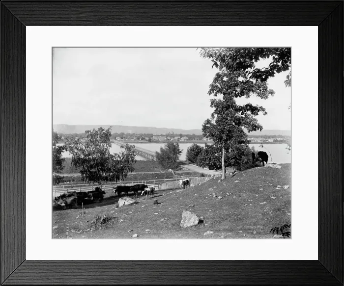Framed Print : Winona from bluffs west of city, between 1880 and 1899. Creator: Unknown Framed Print : Winona from bluffs west of city, between 1880 and 1899. Creator: Unknown
