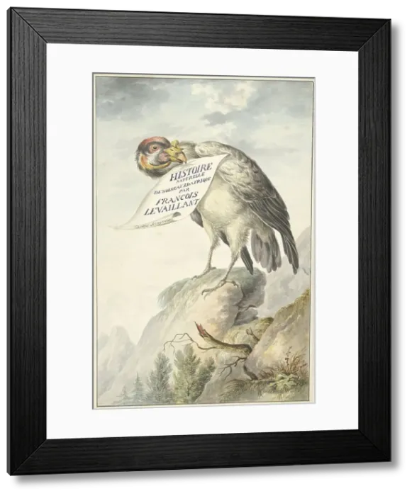Framed Print : Crested vulture with a sheet of paper in its beak, 1763-1824. Creator: Circle of François Le Vaillant Framed Print : Crested vulture with a sheet of paper in its beak, 1763-1824. Creator: Circle of François Le Vaillant