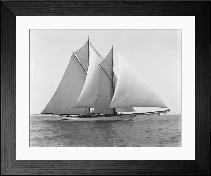 Framed Print : Merlin, 1892 Aug 8. Creator: Unknown Framed Print : Merlin, 1892 Aug 8. Creator: Unknown