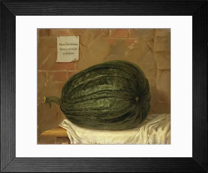 Framed Print : A huge pumpkin, 18th century. Creator: Olof Fredsberg Framed Print : A huge pumpkin, 18th century. Creator: Olof Fredsberg