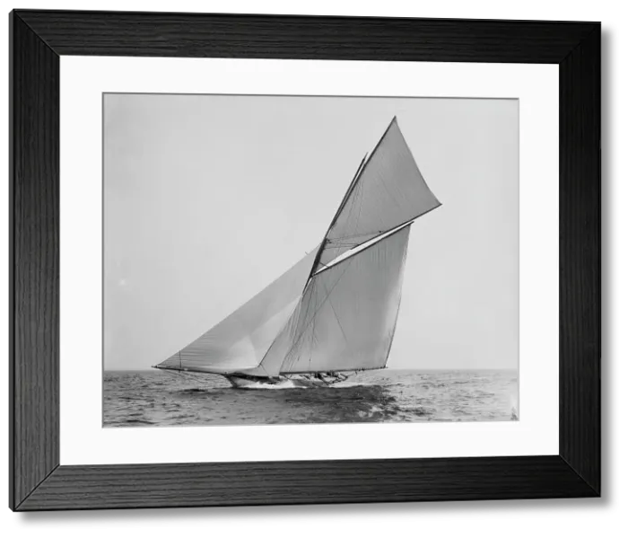 Framed Print : Alborak, between 1880 and 1899. Creator: Unknown