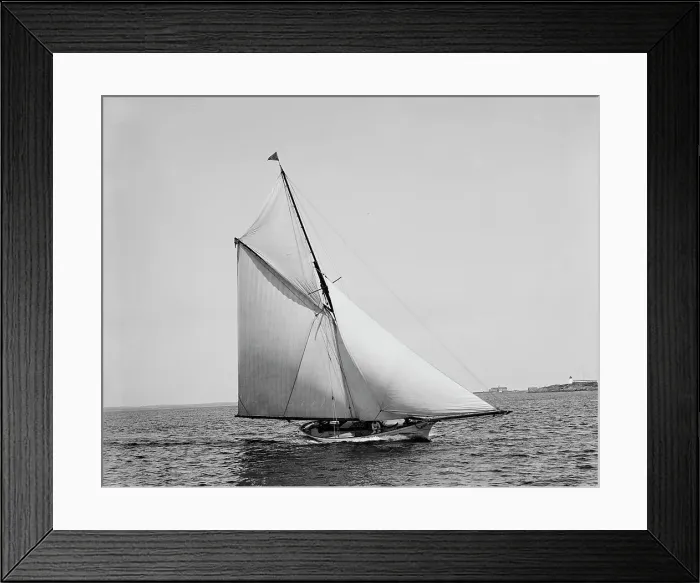Framed Print : Saracen, 1891 May 12. Creator: Unknown Framed Print : Saracen, 1891 May 12. Creator: Unknown
