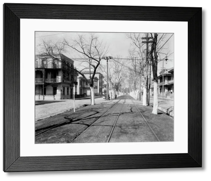Framed Print : Esplanade Street, New Orleans, c1900. Creator: Unknown Framed Print : Esplanade Street, New Orleans, c1900. Creator: Unknown