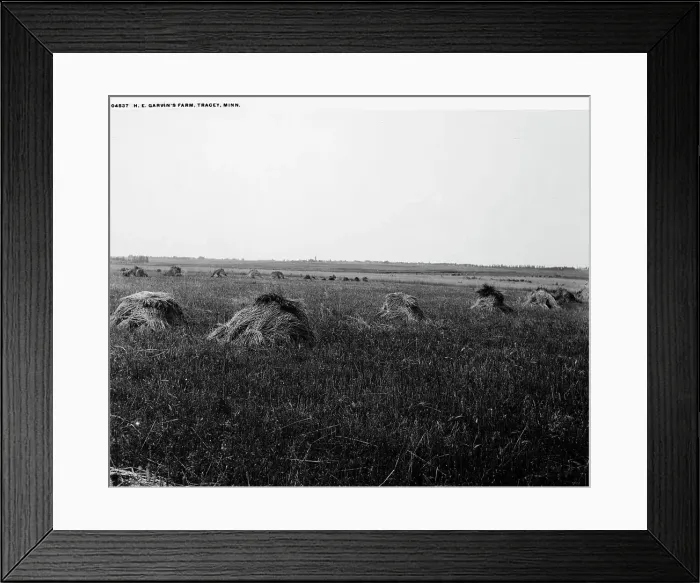 Framed Print : H.E. Garvin's farm, Tracey [sic], Minn. between 1880 and 1899. Creator: Unknown