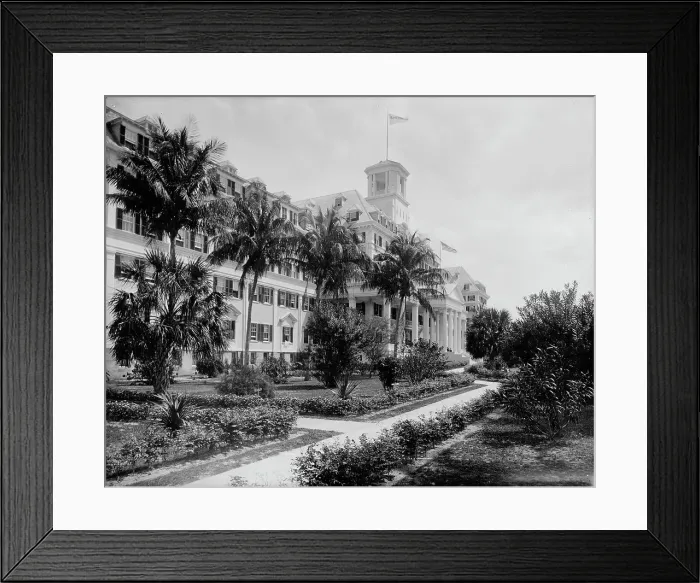 Framed Print : Hotel Royal Poinciana, Palm Beach, Fla. c1900. Creator: Unknown Framed Print : Hotel Royal Poinciana, Palm Beach, Fla. c1900. Creator: Unknown