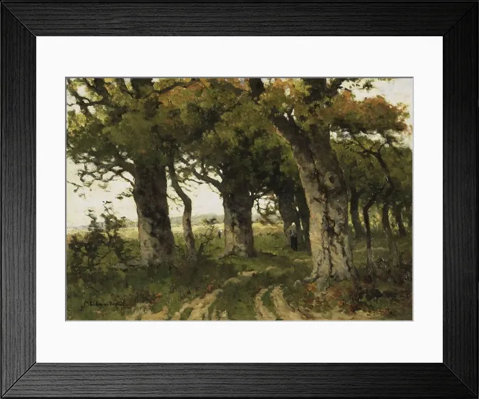 Framed Print : Avenue of Oaks in Late Summer, 1880-1900. Creator: Marie Bilders-van Bosse Framed Print : Avenue of Oaks in Late Summer, 1880-1900. Creator: Marie Bilders-van Bosse