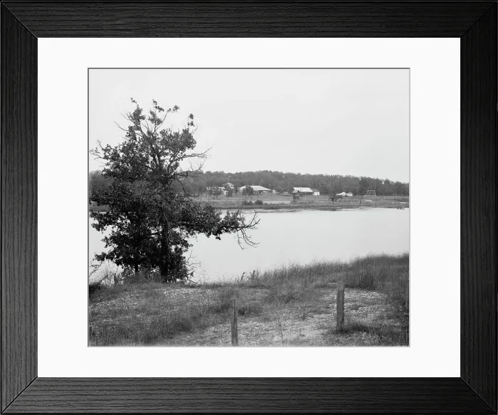 Framed Print : Batavia, Laurelwood Park, between 1880 and 1899. Creator: Unknown Framed Print : Batavia, Laurelwood Park, between 1880 and 1899. Creator: Unknown
