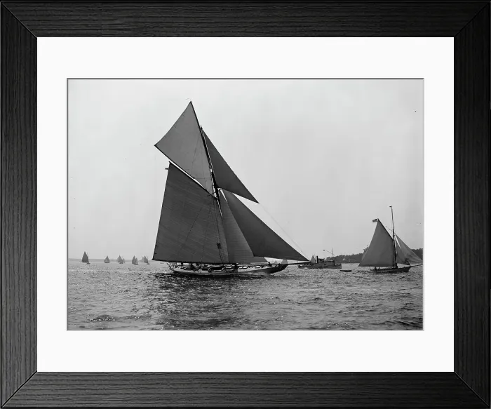 Framed Print : Yankee, c1900. Creator: Unknown Framed Print : Yankee, c1900. Creator: Unknown