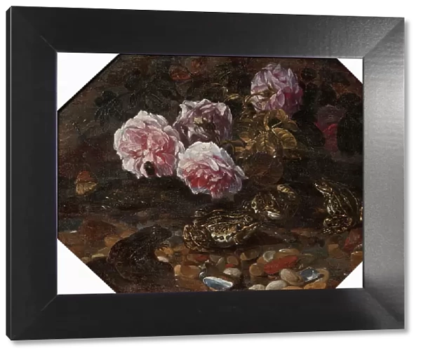 Frogs, Wild Roses, Shells and Butterflies, mid-late 17th century. Creator: Paolo Porpora