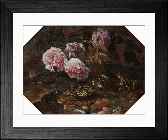Framed Print : Frogs, Wild Roses, Shells and Butterflies, mid-late 17th century. Creator: Paolo Porpora Framed Print : Frogs, Wild Roses, Shells and Butterflies, mid-late 17th century. Creator: Paolo Porpora