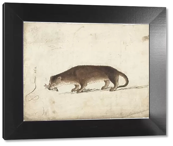 Otter with a fish in his mouth, 1612. Creator: Gerard ter Borch I